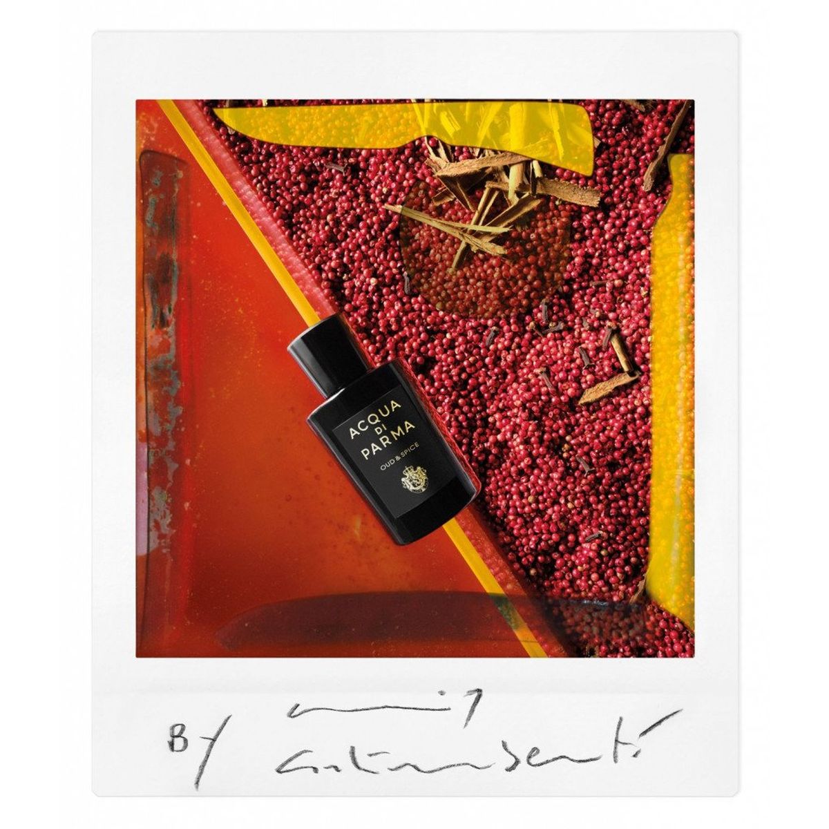 Acqua Di Parma Signatures Eau De Parfum Oud E Spice 180ml