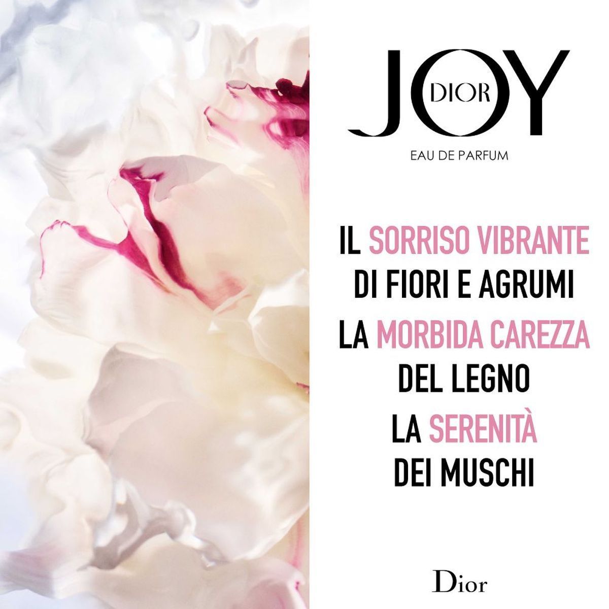 Joy By Dior Eau De Parfum 50ml