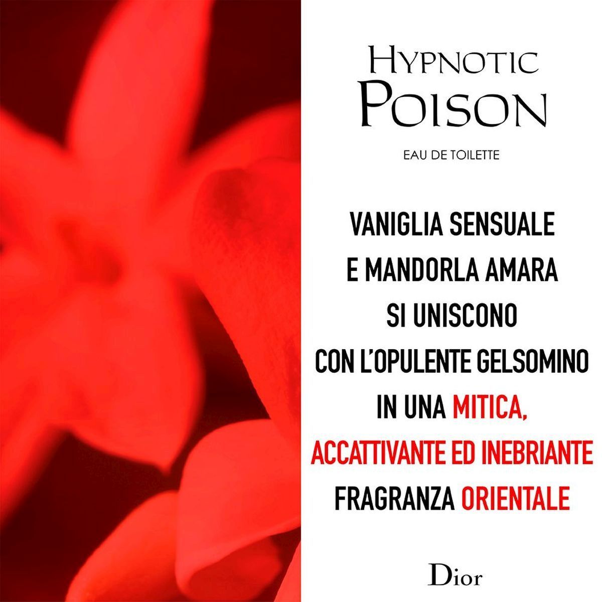 Hypnotic Poison Roller - Pearl  Eau De Toilette 20 Ml