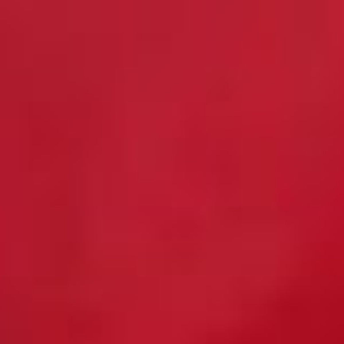 Christian Dior - Rouge Dior Velvet N. 862 Winter Poppy