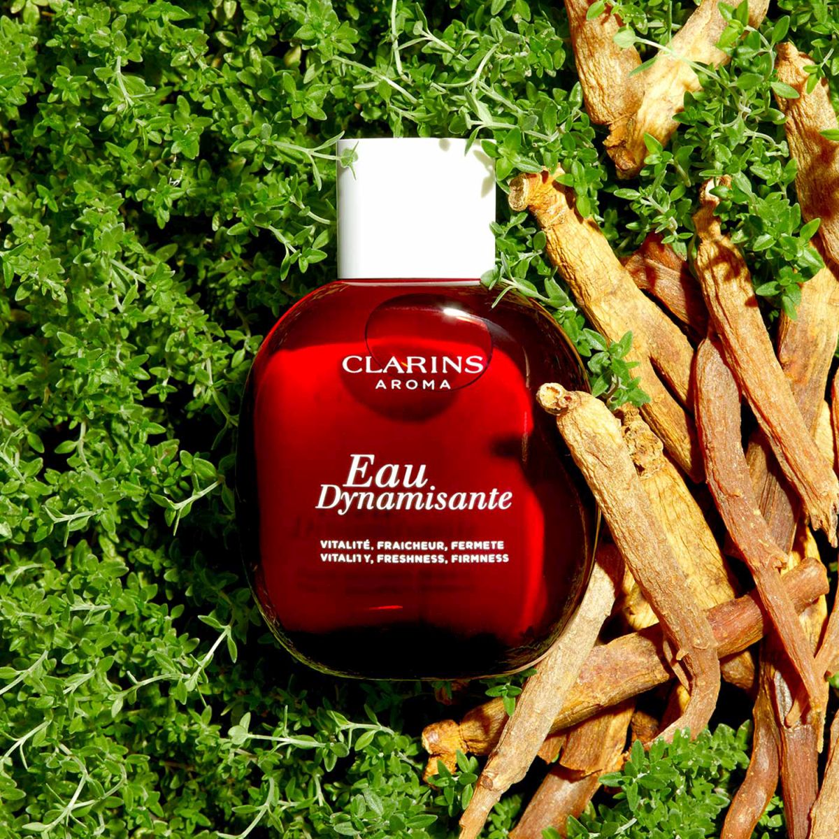 Acqua Di Trattamento - Eau Dynamisante 100 Ml