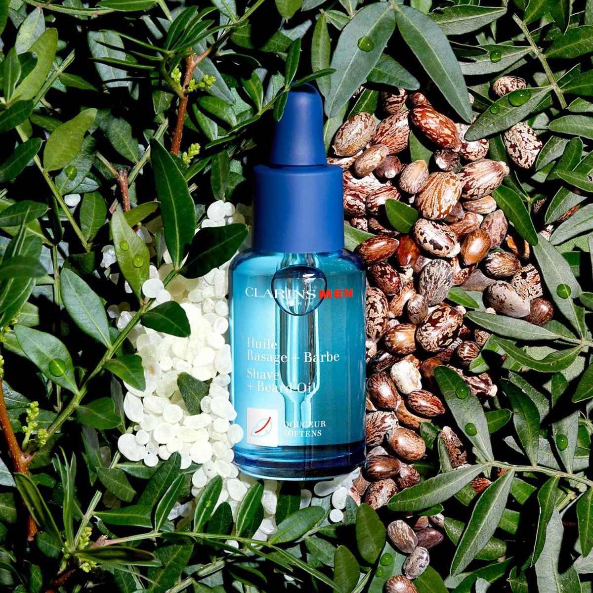 Olio Rasatura & Barba Clarinsmen 30 Ml