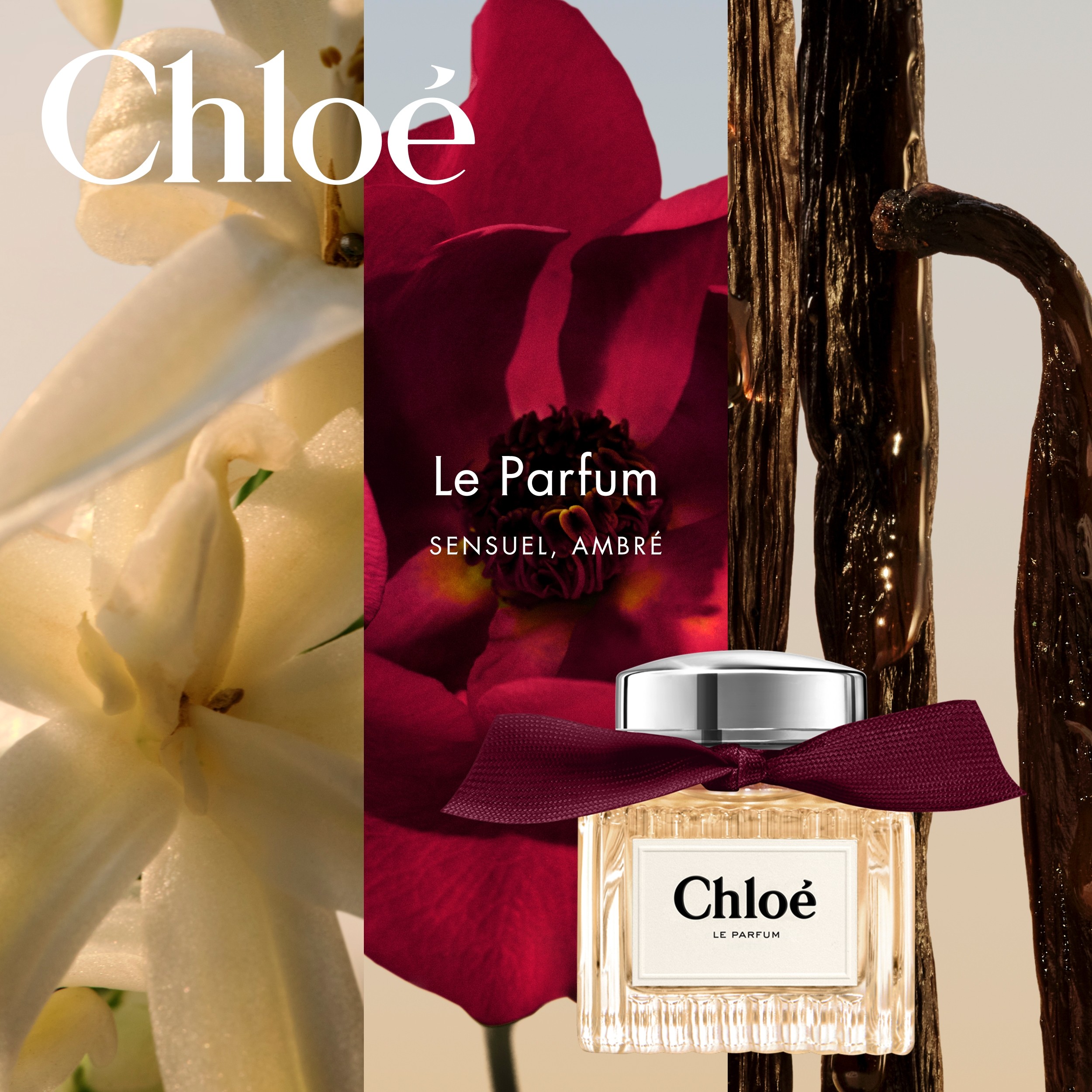 Chloè Le Parfum 30 Ml
