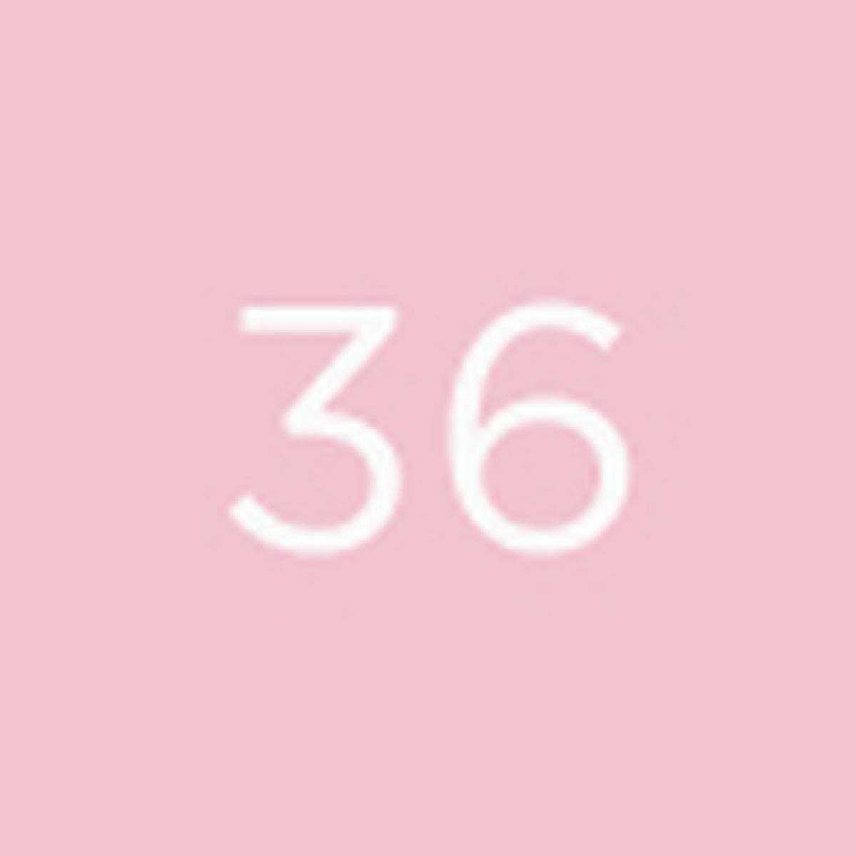 Il Rossetto - The Lipstick 36
