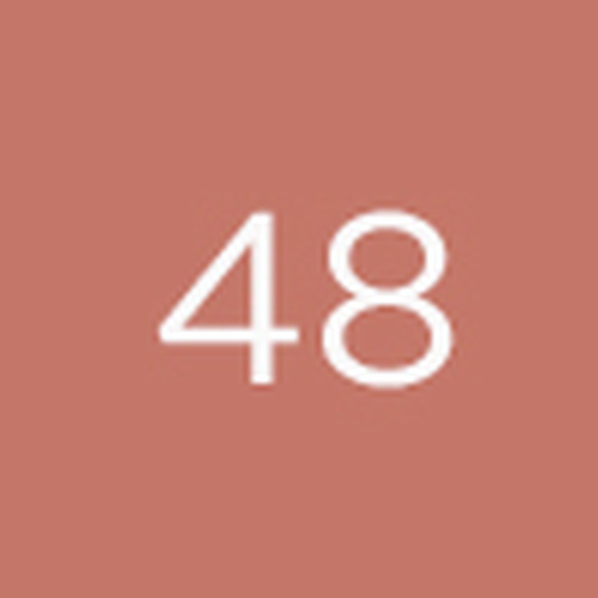 Il Rossetto - The Lipstick 48