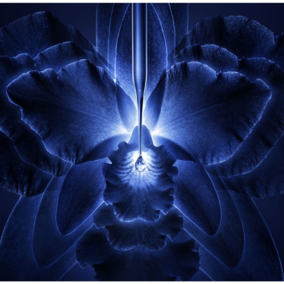 Guerlain - Orchidee Imperiale La Creme - Crema Di 5a Generazione - 50 Ml.