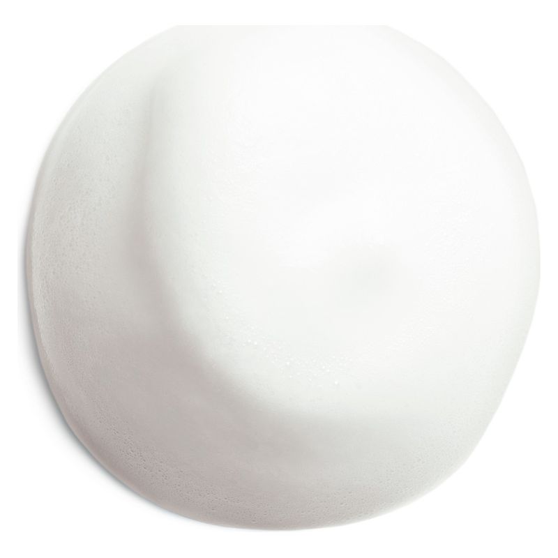 Shiseido Complete Cleansing Microfoam Cleanse + Remove 180 ml