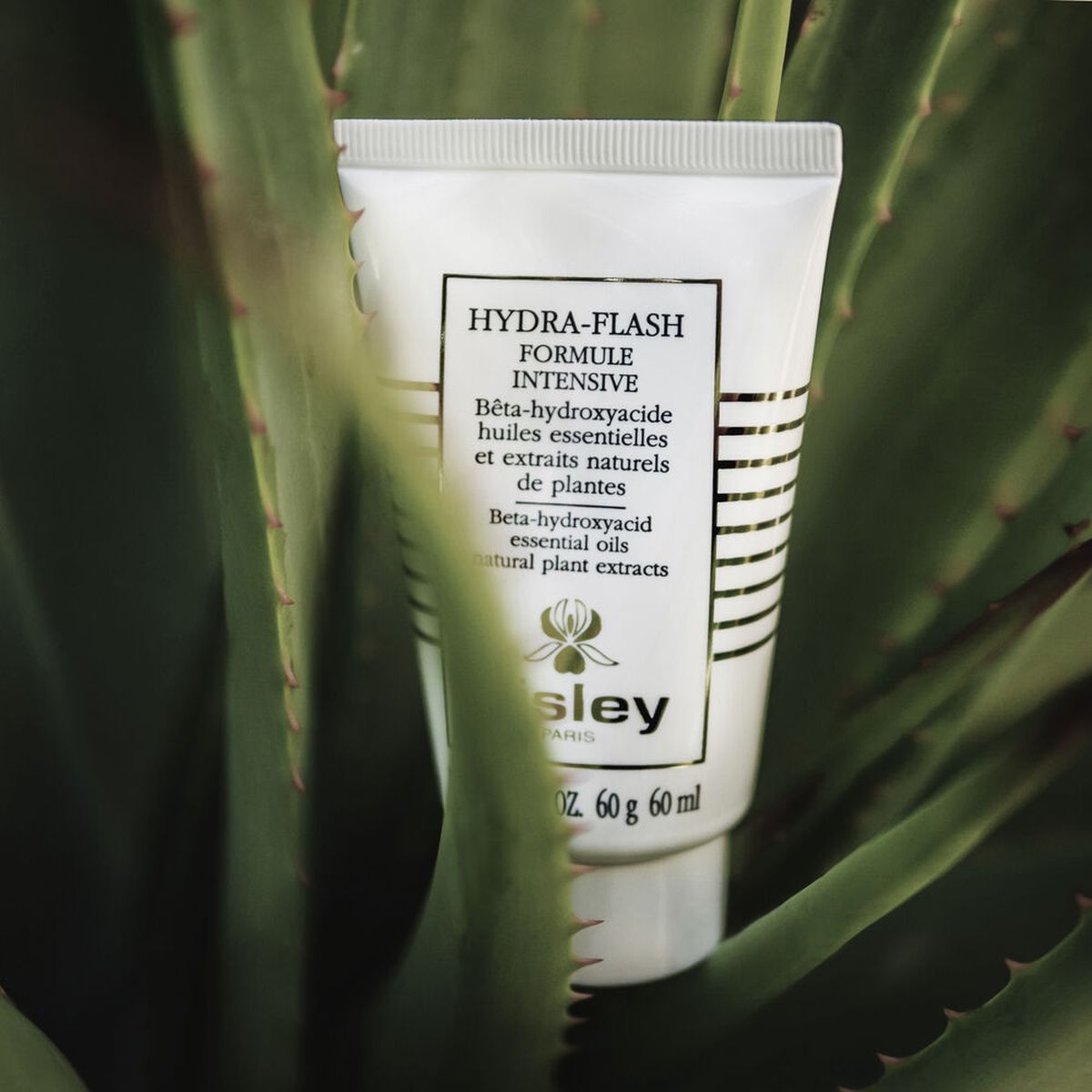 Hydra-flash 60 Ml