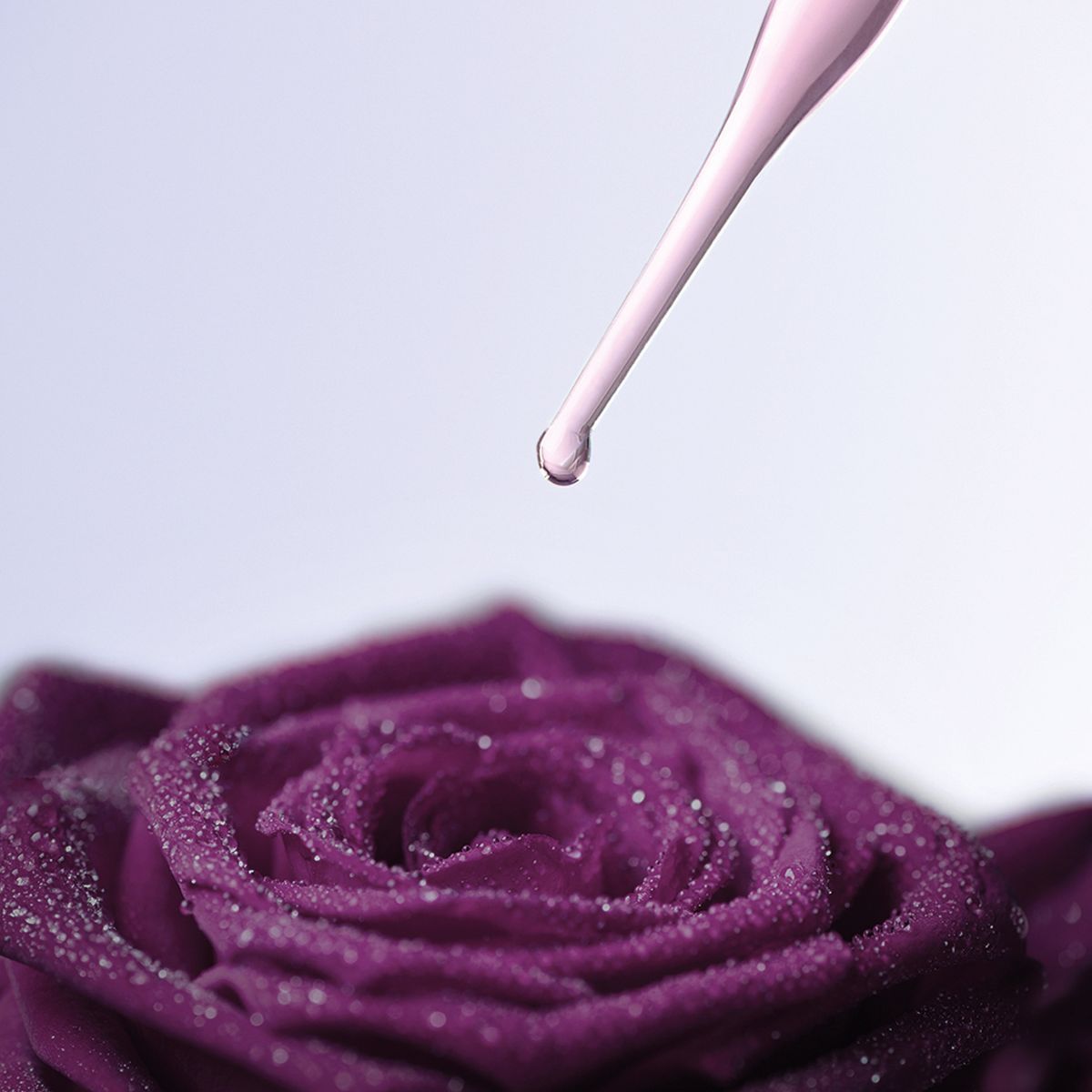 Fluide Contour Des Yeux À La Rose Noire 14 Ml