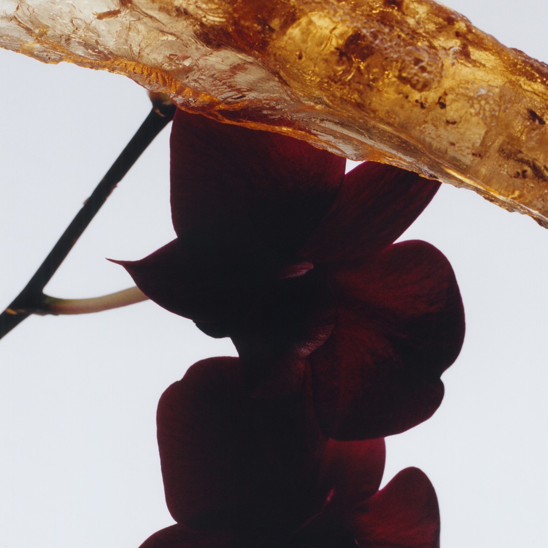 Dark Amber & Ginger Lily - Cologne Intense