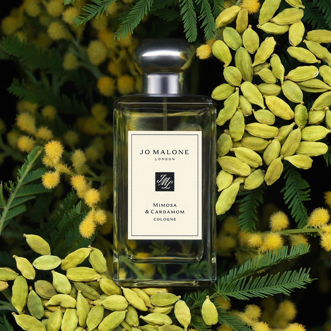 Mimosa & Cardamom - Cologne