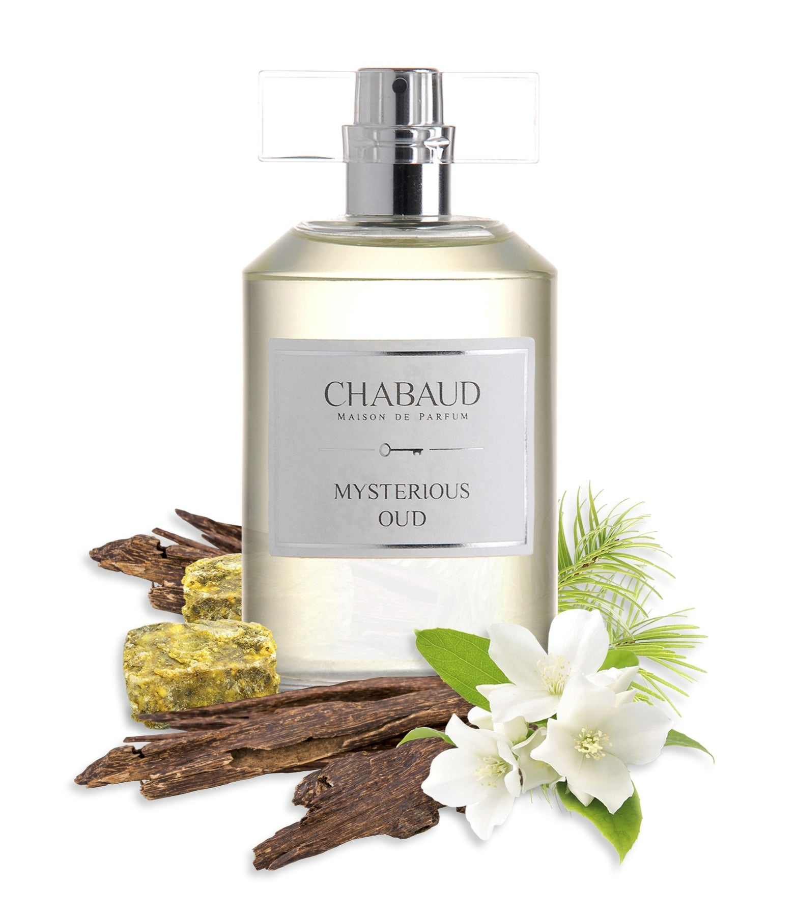 Mysterious Oud Eau De Parfum 100 Ml
