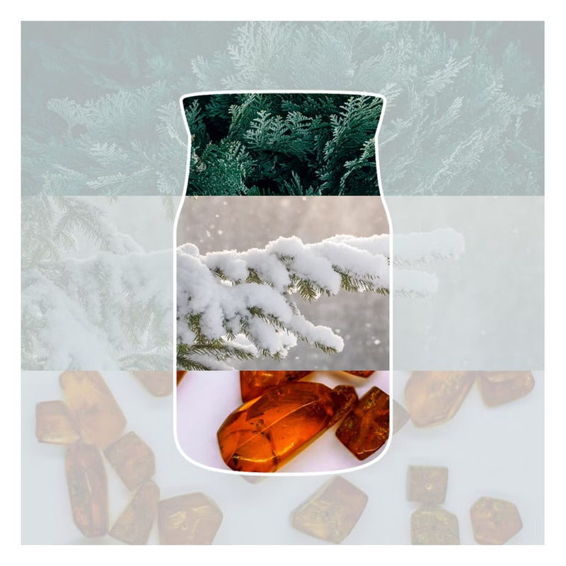 Yankee Candle Candela Giara Grande Signature Snow Kissed Pine