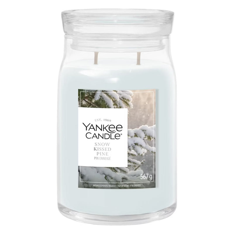 Yankee Candle Candela Giara Grande Signature Snow Kissed Pine