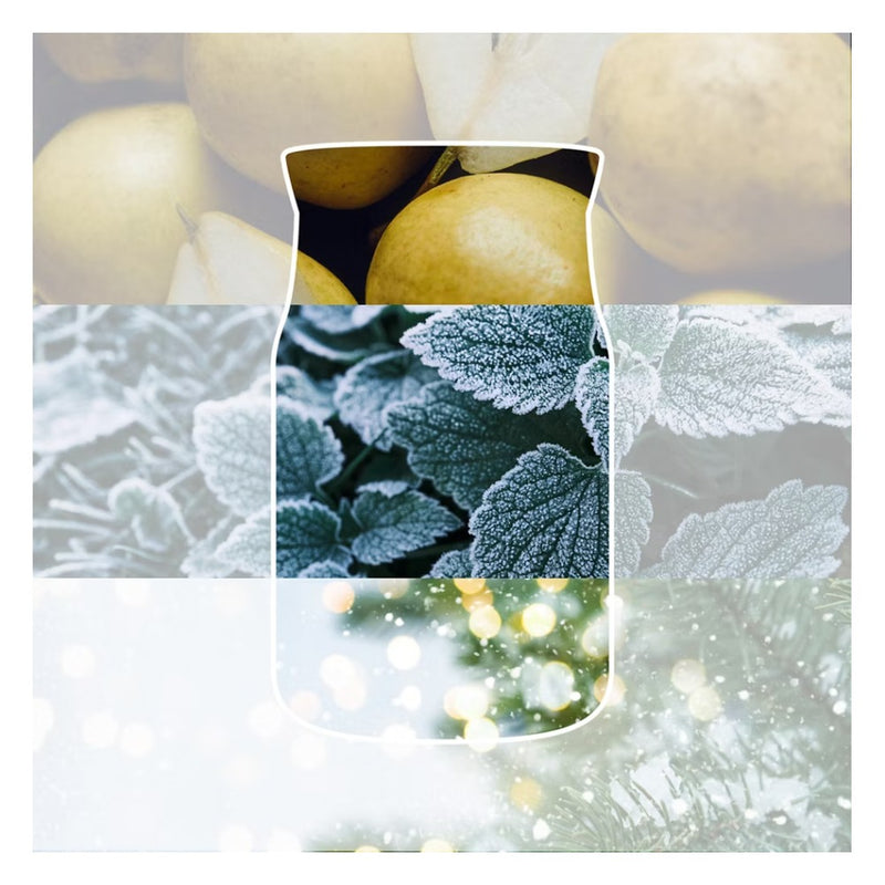 Yankee Candle Candela Giara Media Signature Winter Walk