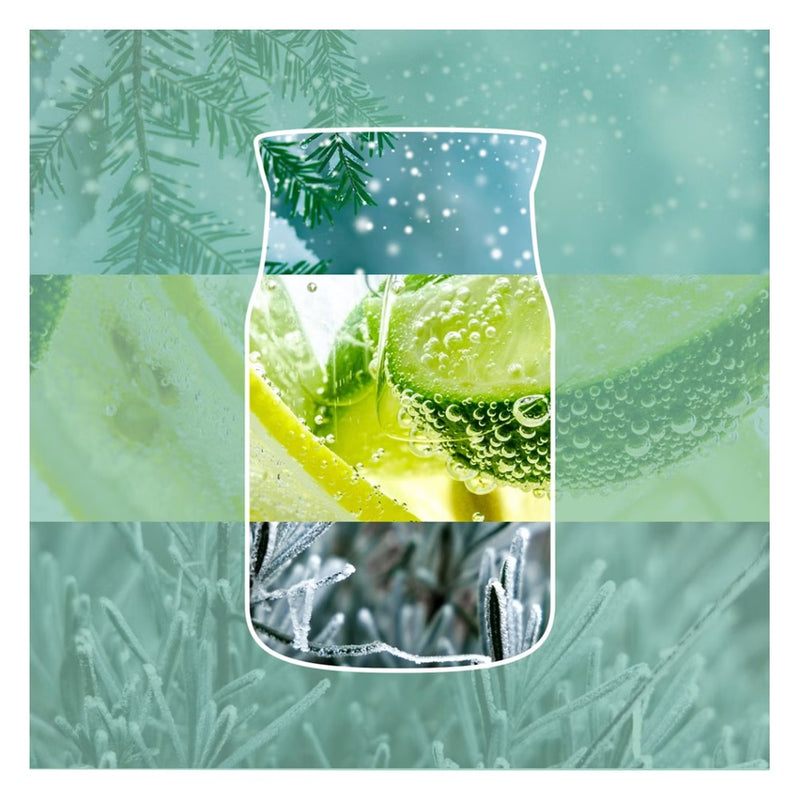 Yankee Candle Candela Giara Media Signature Tree Trimming