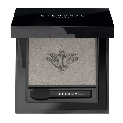 Ombre À Paupière Sublimatrice  501 Platine - 2,5 G