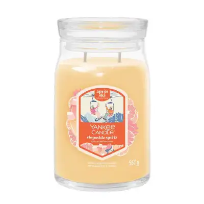 Yankee Candle Candela In Tumbler Piccolo Glistening Leaves 122 Gr