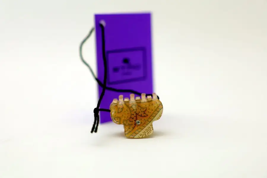 Etro Mini Pinza Vetrificata 3655/90/98