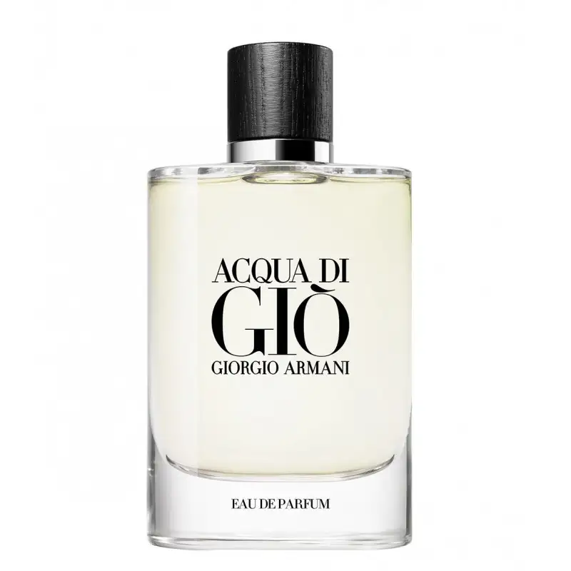 Giorgio Armani Acqua Di Giò Eau De Parfum 100 Ml
