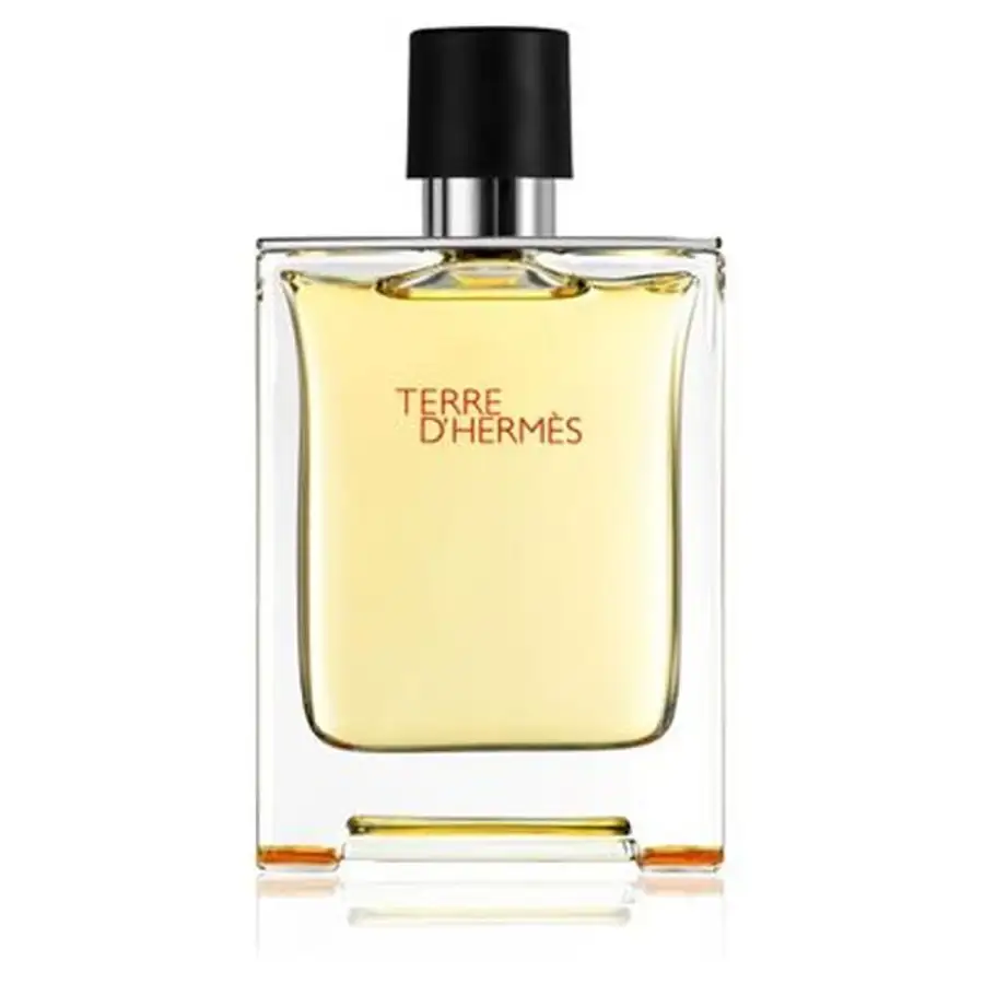 Terre D'hermes Eau De Toilette Spray 30 Ml Ricaricabile