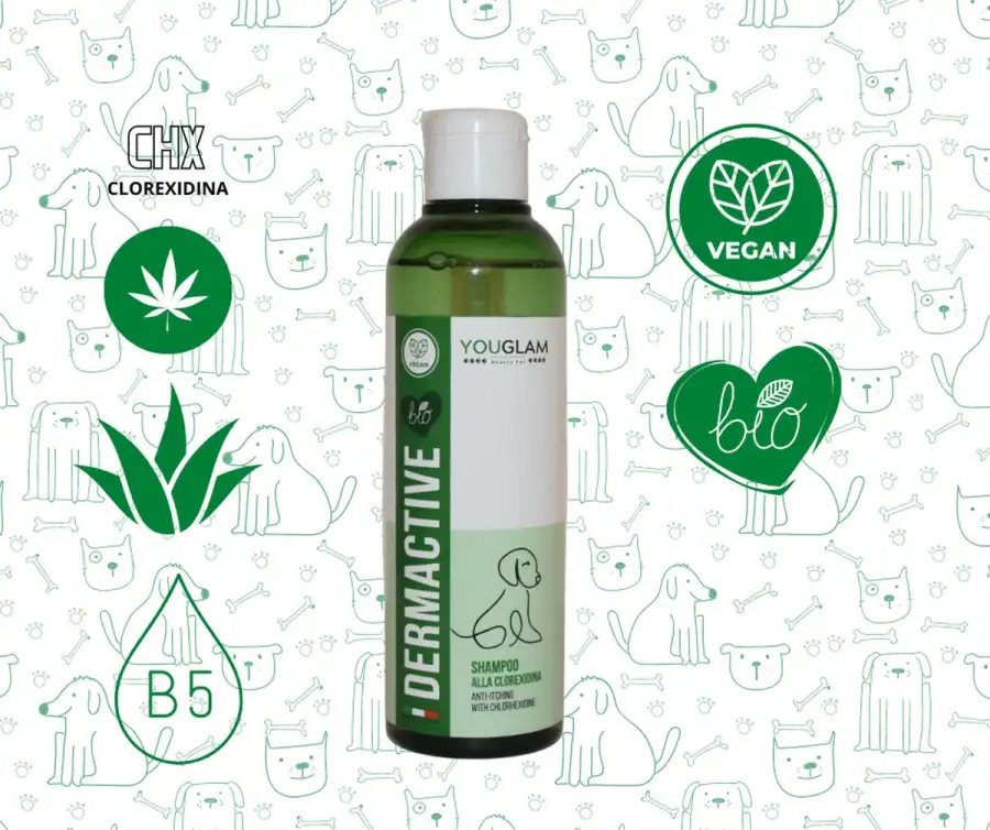 Youglam Dermactive - Shampoo Antiprurito Con Clorexidina 200ml